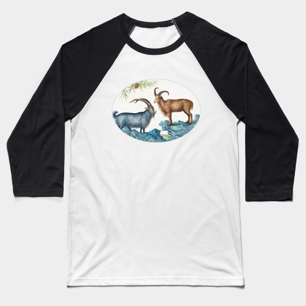 Wild Goat and a Barbary Sheep (1575–1580) Baseball T-Shirt by WAITE-SMITH VINTAGE ART